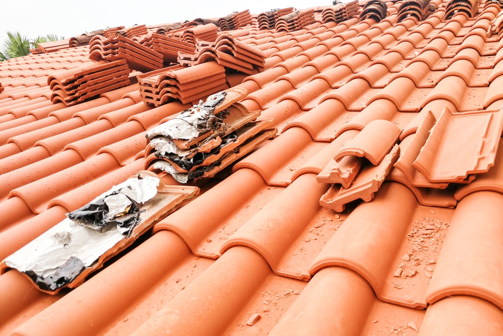 Mascot Roof Restoration Specialists
